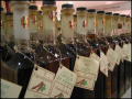 botellas