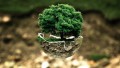 Ambiental-3