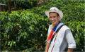 cafetero