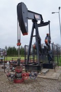 Petróleo